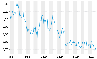 Chart Mini Future Long Pan American Silver - 1 Month