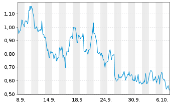 Chart Mini Future Long Pan American Silver - 1 Month
