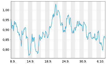 Chart Mini Future Short Chevron - 1 Monat
