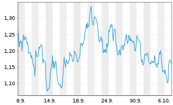 Chart Mini Future Short Chevron - 1 Monat