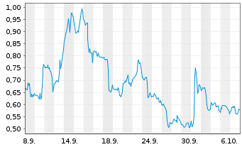 Chart Mini Future Long IBM - 1 Month