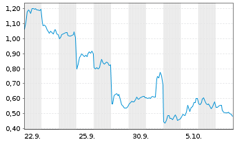 Chart Mini Future Long BYD - 1 Monat