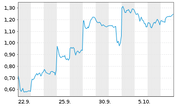Chart Mini Future Short BYD - 1 Monat
