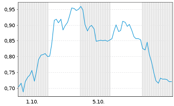 Chart Mini Future Long PVA TePla - 1 Month
