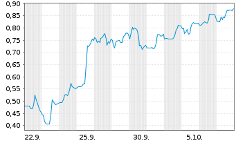 Chart Mini Future Short Standard Lithium - 1 Month