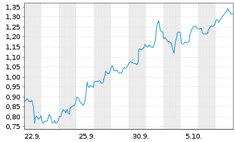 Chart Mini Future Short Riot Platforms - 1 Monat