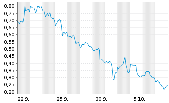 Chart Mini Future Long Riot Platforms - 1 Monat