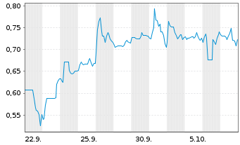 Chart Mini Future Short Li-FT Power - 1 Monat
