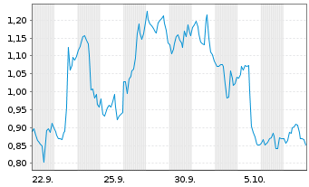 Chart Mini Future Short Block - 1 Monat