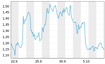 Chart Mini Future Short Block - 1 Monat