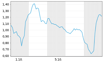Chart Mini Future Long Micron - 1 Month