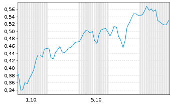 Chart Mini Future Long Shell - 1 Month