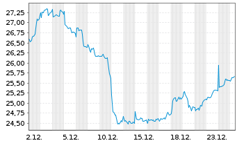 Chart Naturgy Energy Group, S.A. - 1 Monat