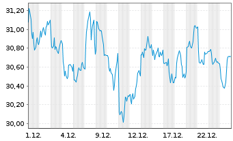 Chart Endesa S.A. - 1 Monat