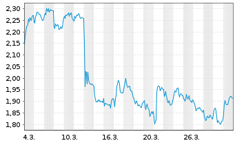 Chart On the Beach Group PLC - 1 Monat