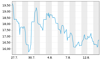 Chart CIRCA5000 ICAV Reg.Shs USD Acc. oN - 1 Monat