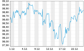Chart Amu.S&P 500 CL.N.Z.AMB.P USD - 1 Monat