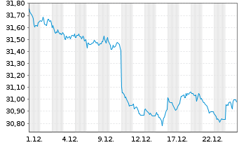 Chart I.M.II-Inv.US Treas.Bd.UCITS - 1 Monat