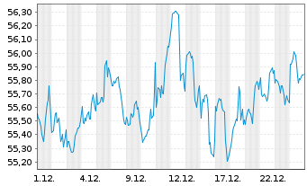 Chart INVMKTSII-S&P500 EQWGT ETF - 1 Monat