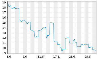 Chart PowerX Inc. - 1 Monat
