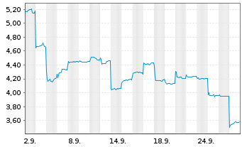 Chart SHEIN Global Holdings Ltd. Class B - 1 Monat