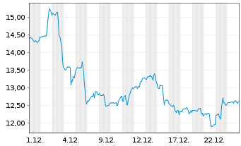 Chart Stoneco Ltd. - 1 Monat
