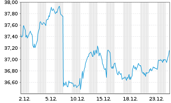 Chart Amu.Idx Sol.Amu.DIVDAX - 1 Monat