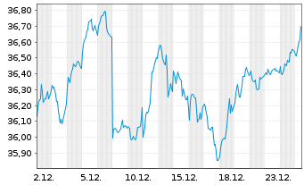 Chart Amu.Idx Sol.Amu.F.A.Z.100 - 1 Monat