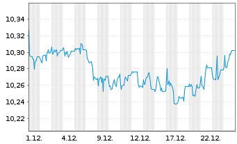 Chart Amu.Idx Sol.Amu.LIFECYCLE 2030 - 1 Monat
