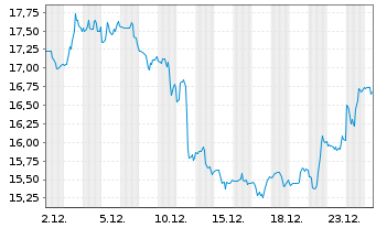 Chart Star Bulk Carries Corp. - 1 Monat