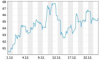 Chart Elastic N.V. - 1 Month