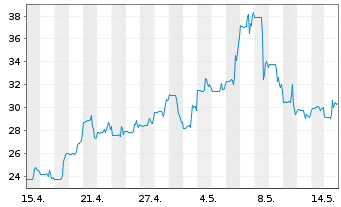 Chart Advantage Solutions Inc. - 1 Monat