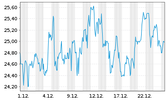 Chart Amentum Holdings Inc. - 1 Monat