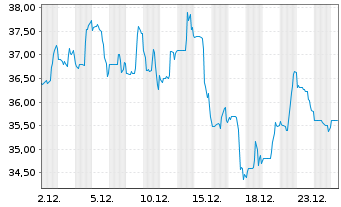 Chart CADRE HOLDINGS INC. Registered Shares DL -,0001 - 1 Monat