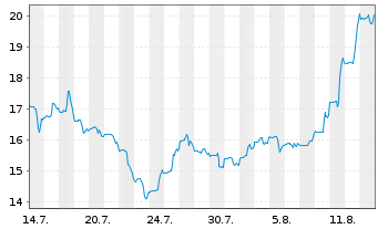 Chart Ceribell Inc. - 1 Monat