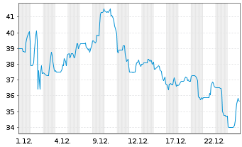 Chart Citi Trends Inc. - 1 Monat