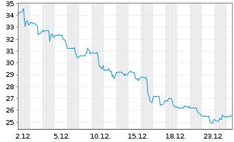 Chart Delek US Holdings Inc. - 1 Monat