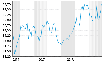 Chart Dir.Shs ETF T.-D.Da.S.Cp Be.3X - 1 Month