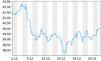 Chart Donnelley Fin. Solutions Inc. - 1 Monat