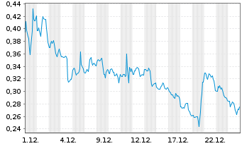 Chart Amaze Holdings Inc. - 1 Monat