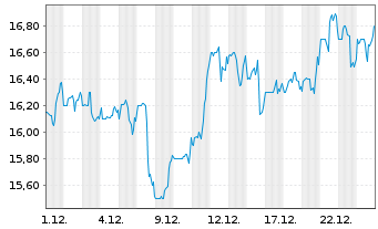 Chart Healthcare Services Group Inc. - 1 Monat