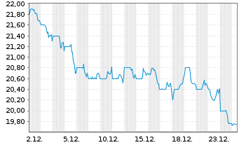 Chart HealthStream Inc. - 1 Monat