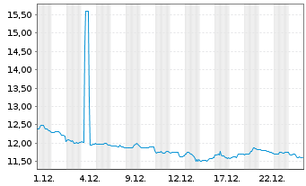Chart India Fund Inc., The - 1 Monat