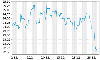 Chart National Vision Holdings Inc. - 1 Monat