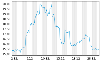 Chart Netskope Inc. Registered Shares Class A o.N. - 1 Monat