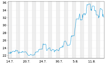 Chart Neutron Holdings Inc. - 1 Monat