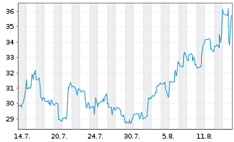 Chart Pershing Square Inc. - 1 Monat