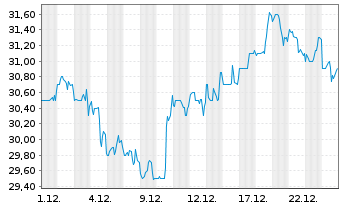 Chart Radian Group Inc. - 1 Monat