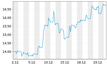 Chart Slide Insurance Hldgs Inc. - 1 Monat