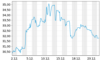 Chart Thermon Group Holdings Inc. - 1 Monat